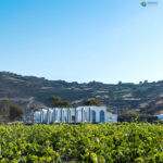 Estate Argyros