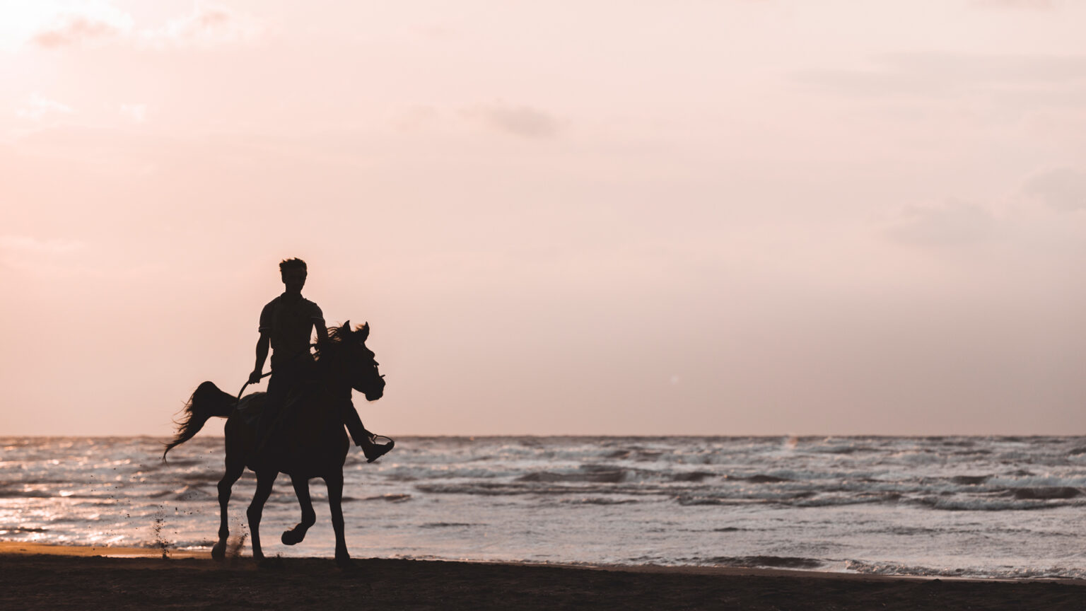 Santorini Horse Riding Tour
